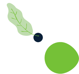 about 1 leaf